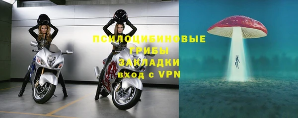 mix Пересвет