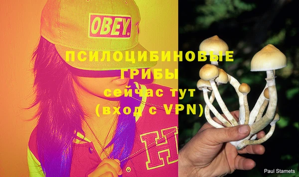 ешки Переславль-Залесский