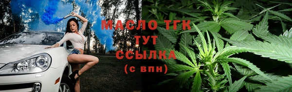 mix Пересвет