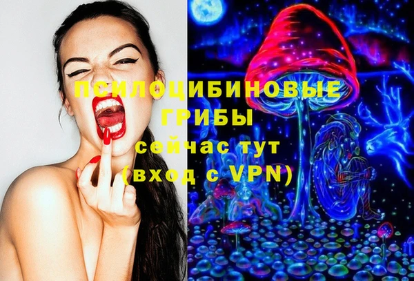 ешки Переславль-Залесский