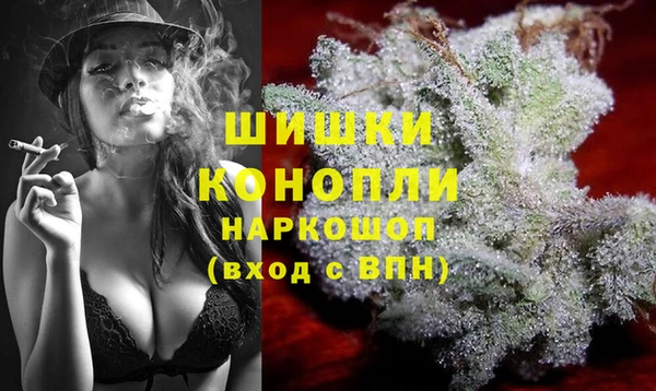 mix Пересвет