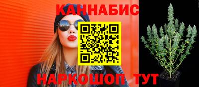 Альфа ПВП Северобайкальск