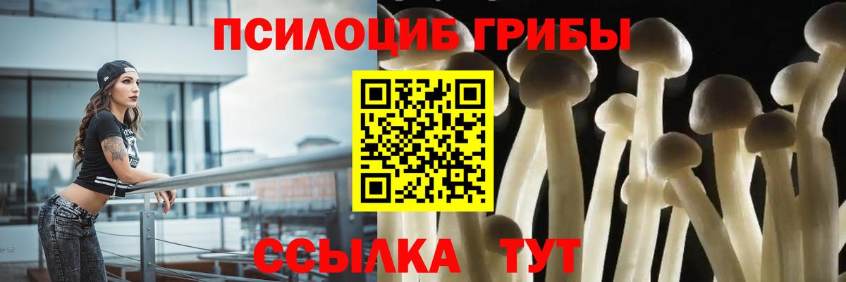 Галлюциногенные грибы мухоморы  Вход с VPN  Славянск-на-Кубани 